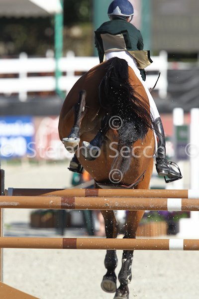 FITZGIBBON_PUISSANCE_Madrid_2011_SS3_8455.jpg