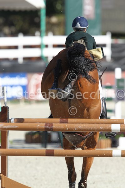 FITZGIBBON_PUISSANCE_Madrid_2011_SS3_8456.jpg