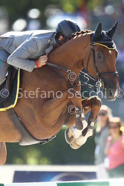 GAUDIANO_CHICAGO_Madrid_2011_SS3_6412.jpg