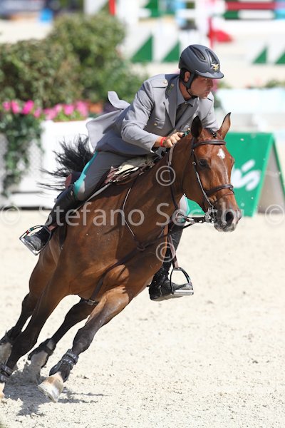 GAUDIANO_COCOSHYNSKY_Madrid_2011_SS3_7634.jpg